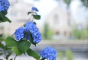wedding_00004.jpg