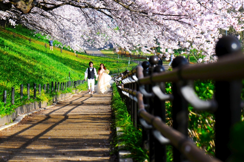 wedding034.jpg